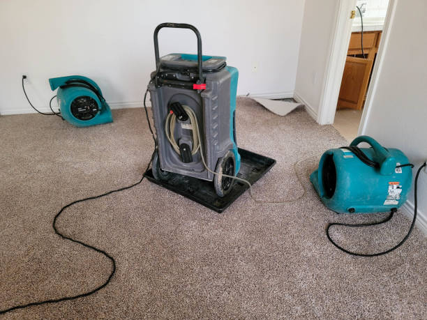 Best Sewage cleanup and water damage restoration  in Glenmora, LA