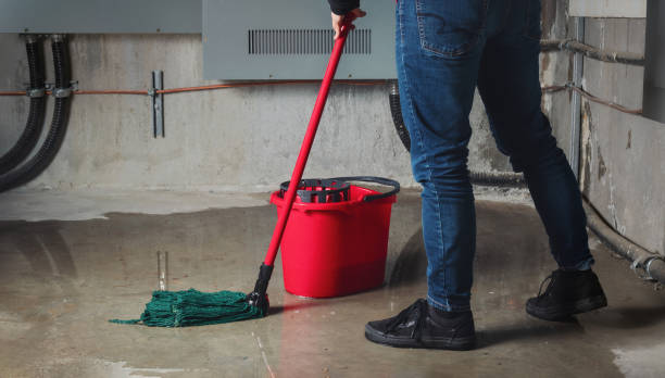 Best Water damage cleanup near me  in Glenmora, LA