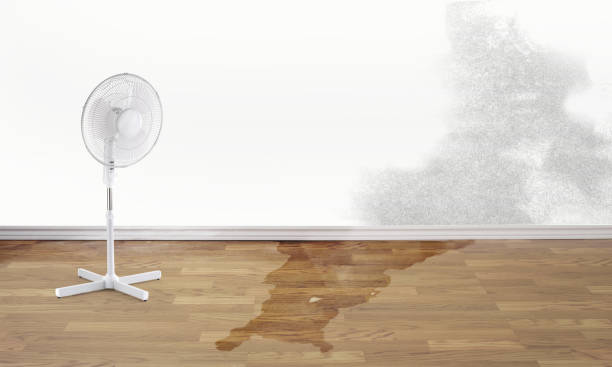 Best Residential water damage restoration  in Glenmora, LA