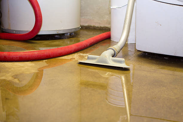 Best Residential water damage restoration  in Glenmora, LA