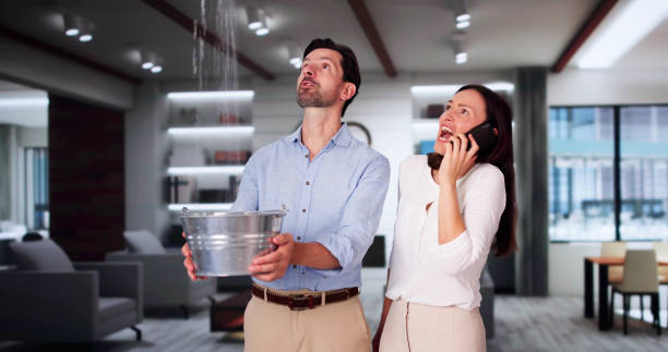 Best Basement water damage restoration  in Glenmora, LA