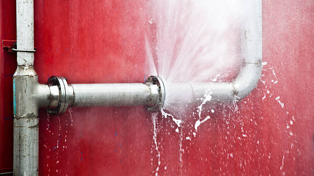 Best Professional water damage repair  in Glenmora, LA